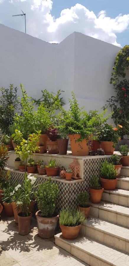 Casa Rural Los Danzantes Fuente-Tojar ภายนอก รูปภาพ