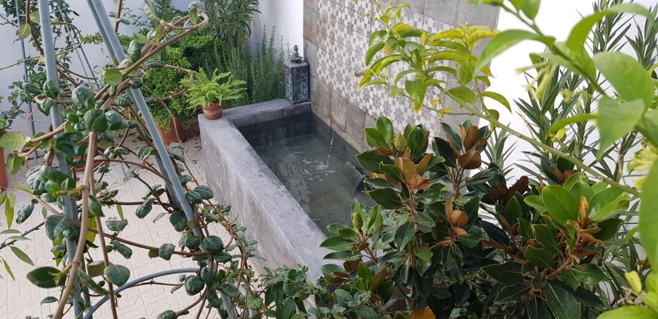 Casa Rural Los Danzantes Fuente-Tojar ภายนอก รูปภาพ