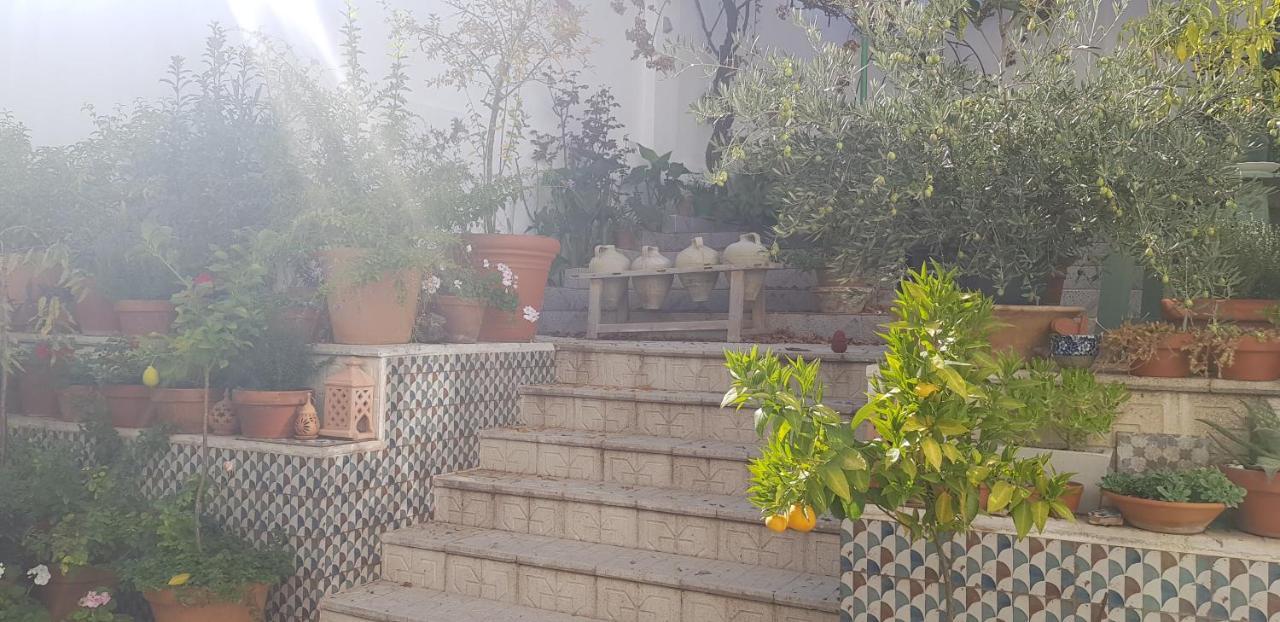 Casa Rural Los Danzantes Fuente-Tojar ภายนอก รูปภาพ