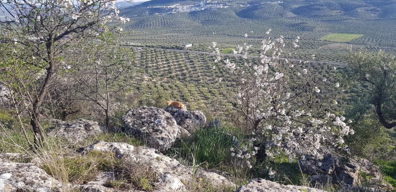 Casa Rural Los Danzantes Fuente-Tojar ภายนอก รูปภาพ